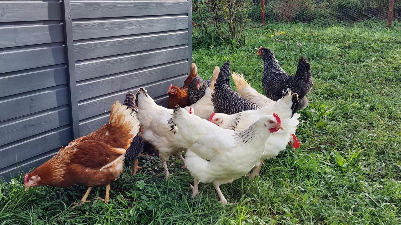 לינה וארוחת בוקר Comberjon Domaine Le Puits Du Moulin מראה חיצוני תמונה
